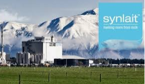 synlait farm
