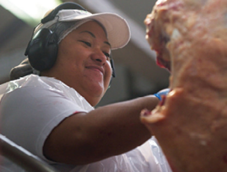 Meat 450x200px