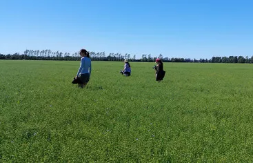 Biosecurity black grass 630x400