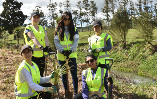 CNZ Stream Planting 1420x600px