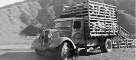 topstock info reg