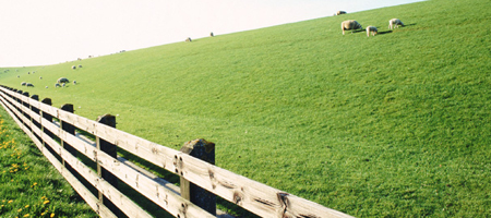 topstock trace element