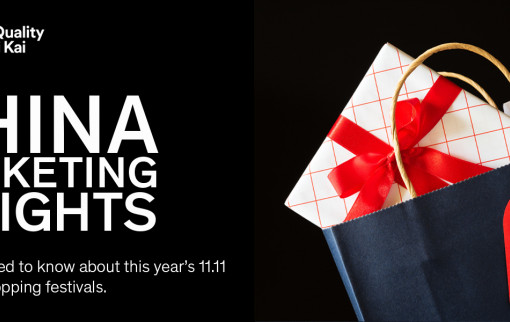 China Marketing Insights 3 v2