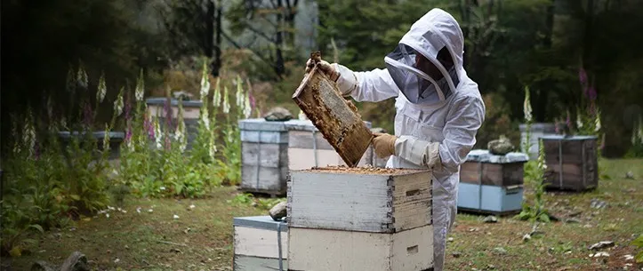 AQ Verification and Certification Apiculture