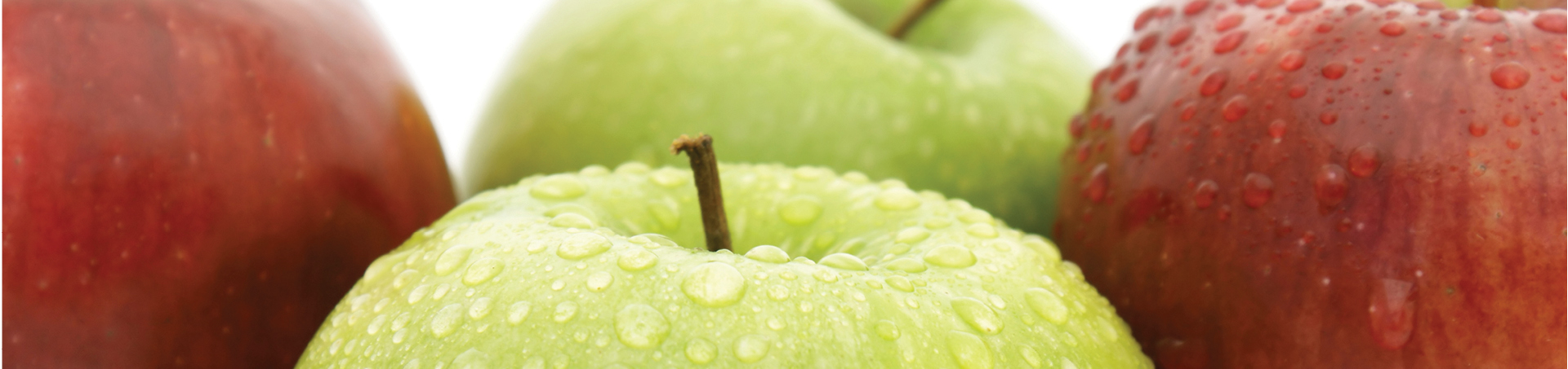 GAP Sustainability 1920x453px