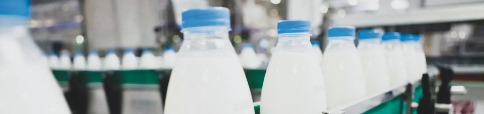 Industry banner Dairy Manufacturing v4
