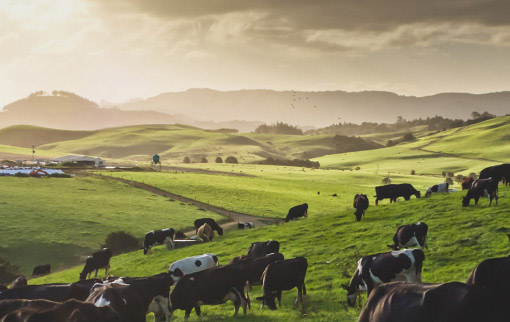 New sustainability linked loan Programme v4