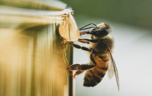 leandro fregoni SLgbKHthfpA unsplash 1